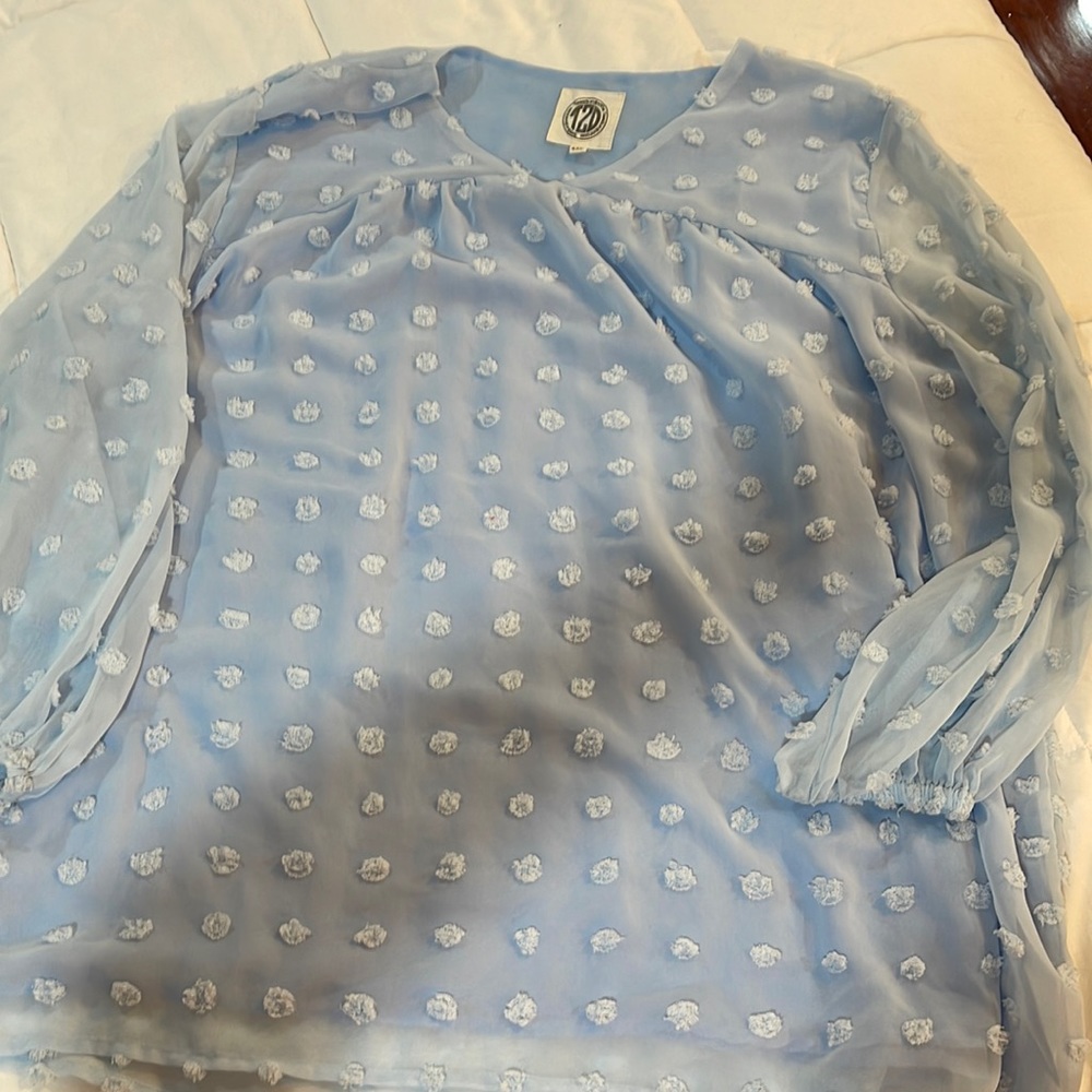 Light blue blouse